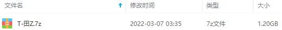 田震无损音乐合集