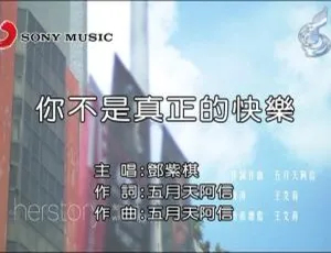 邓紫棋《你不是真正的快乐》2015国语MV高清版-蓝海网