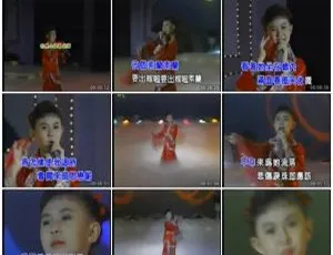 小卓依婷专辑2 KTV DVD高清原版 3.52G完整收录