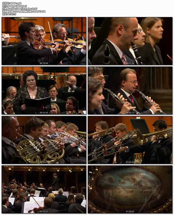 Europakonzert 2009蓝光