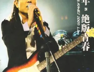 许巍2005北京绝版青春演唱会卡拉OK现场DVD