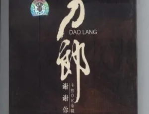 刀郎《谢谢你》九雨天下珍藏版DVD专辑ISO镜像-蓝海网