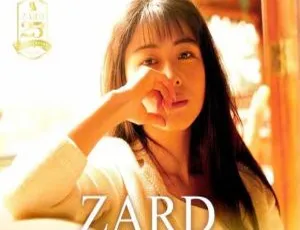 坂井泉水 ZARD 2004经典演唱会 What a beautiful moment 绝版现场高清