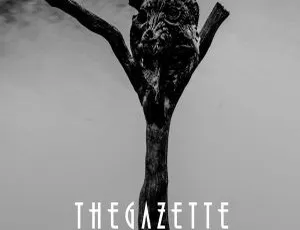 the GazettE日本横滨演唱会 MAGNIFICENT MALFORMED BOX FINAL CODA LIVE 2014 横滨竞技场官方现场