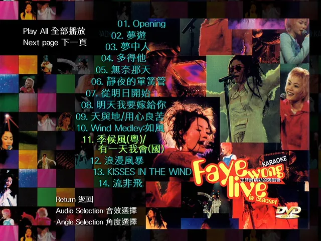 1994-1995跨年演唱会