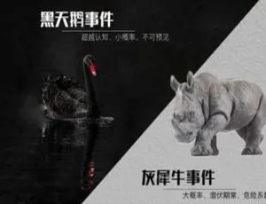 喜马拉雅黑天鹅有声小说全集34回MP3-蓝海网