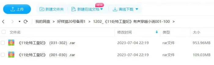 11处特工皇妃有声小说