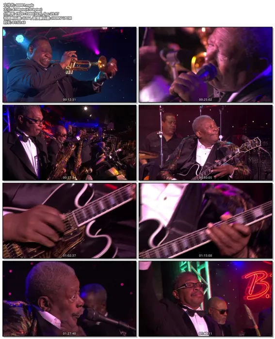 B.B. King 2006演唱会高清