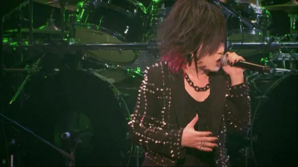 the GazettE STANDING LIVE TOUR14 HERESY LIMITED
