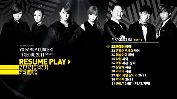 YG Family 2011演唱会