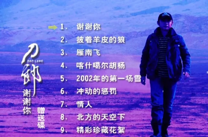 刀郎《谢谢你》
