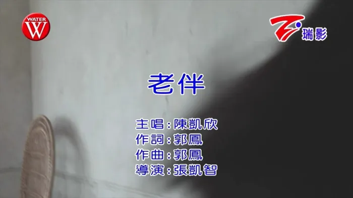 老伴高清完整版