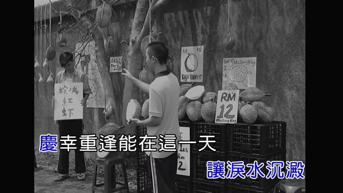 我好吗专辑华语流行