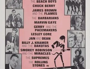 欧美经典演唱会 塔米秀 The T.A.M.I. Show 1964 高清修复蓝光珍藏版-蓝海网