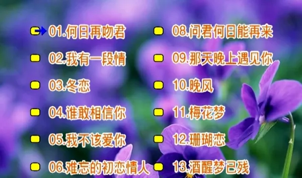 经典KTV金曲