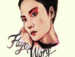 王菲阿菲正传DVD音乐专辑ISO原盘高音质珍藏