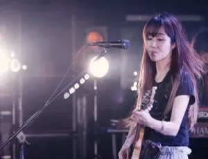 矢井田瞳 Yaida Hitomi 2016 LIVE TOUR 15 周年纪念演唱会 蓝光完整版-蓝海网