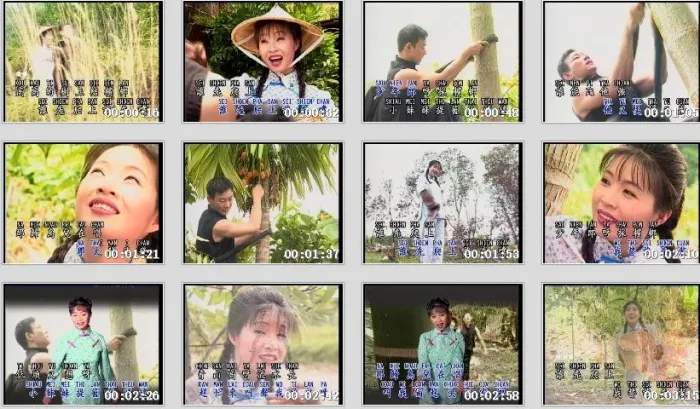 谢采妘经典专辑