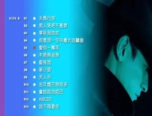 刘德华经典卡拉OK精选8 DVD原版音乐大碟-蓝海网