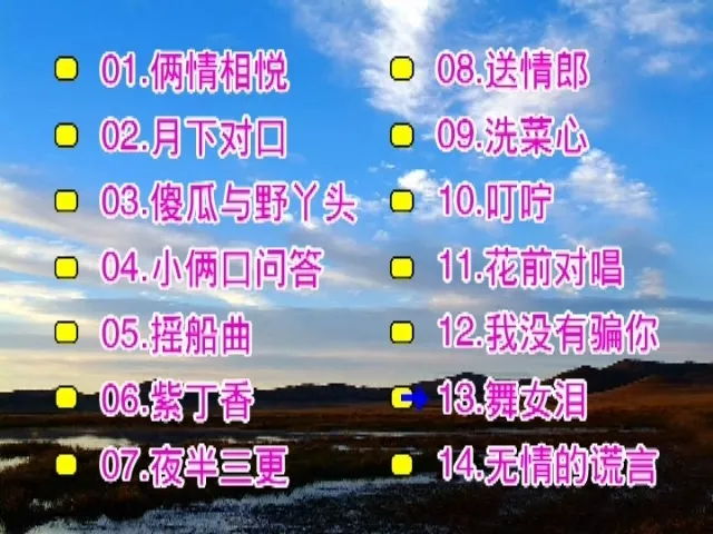 经典情歌双碟卡拉OK
