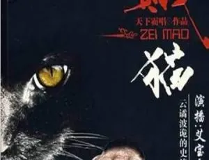 艾宝良演播贼猫有声小说全46回MP3音频合集-蓝海网