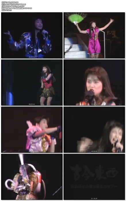 森高千里 演唱会 完整版