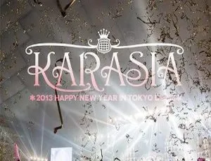 KARA东京巨蛋新年演唱会2013 超清珍藏版 日韩女团经典现场-蓝海网
