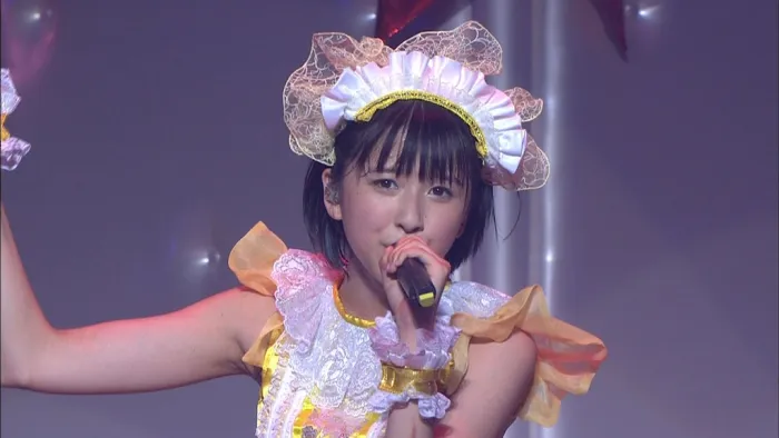 Momoiro Clover Z 双主题演唱会