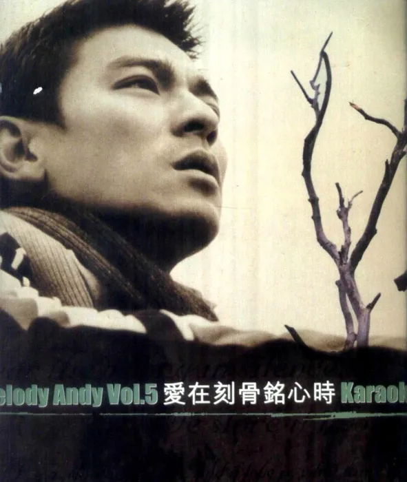 KTV DVD