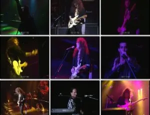 英格威·玛姆斯汀1994日本武道馆演唱会 DVD珍藏版-蓝海网