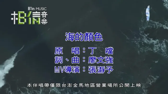 2019 国语MV 高清