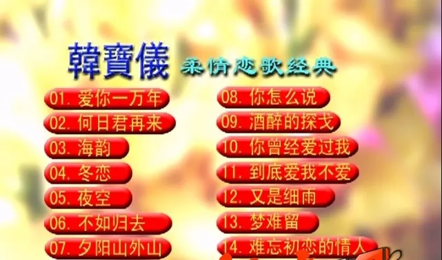 绝版KTV DVD