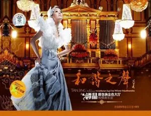 谭晶维也纳金色大厅独唱音乐会 DVD原盘珍藏版-蓝海网