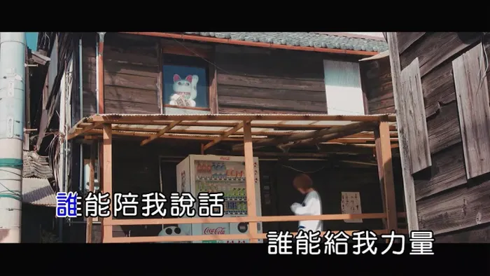 庄鹃瑛 不正常的正常 MV