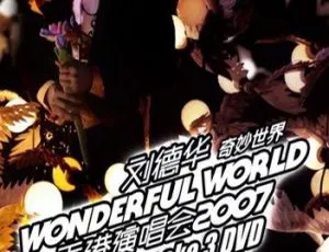 刘德华奇妙世界Wonderful World香港演唱会2007完整版高清DVD