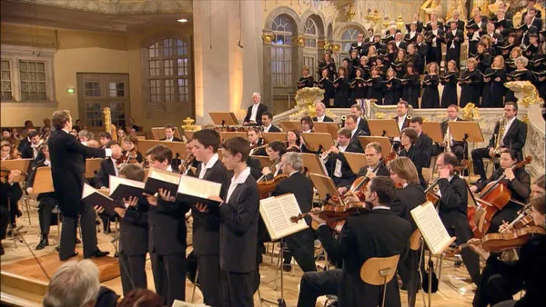Robert Schumann 2010 Blu-ray