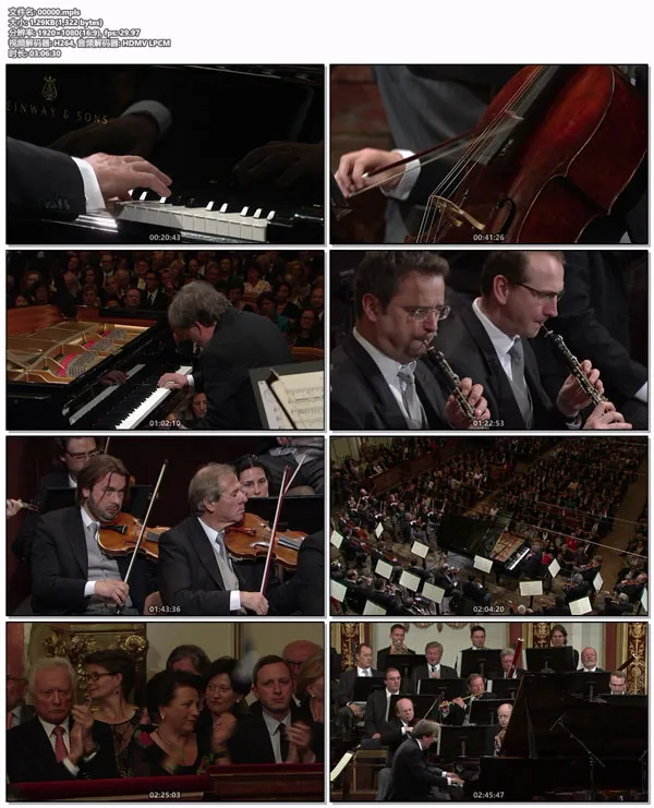 Wiener Philharmoniker Blu-ray 2011