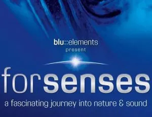 Forsenses自然之声视听盛宴2009蓝光演示碟高清珍藏版