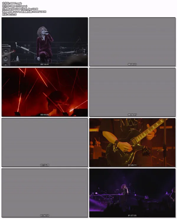 the GazettE珍藏版LIVE TOUR
