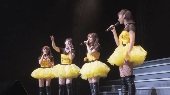 Fairyz 2018演唱会