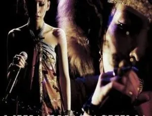 中岛美嘉2005日本演唱会DVD现场珍藏版
