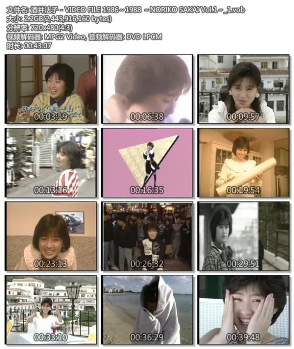 酒井法子 演唱会 DVD 套装
