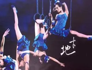 蔡依林2007台湾地才唯舞独尊演唱会DVD高清完整版