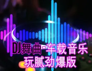 车载DJ劲爆热歌150首合集-蓝海网