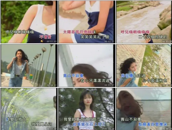 DVD双碟高清