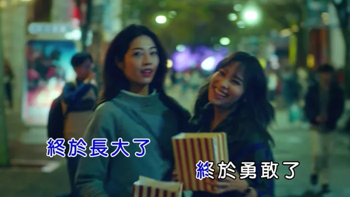 国语音乐视频数字版