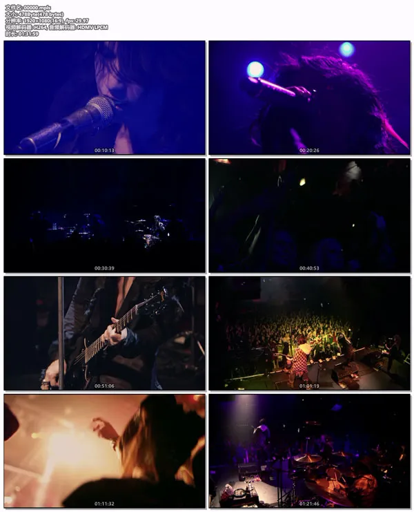 VAMPS 2014伦敦演唱会Blu-ray