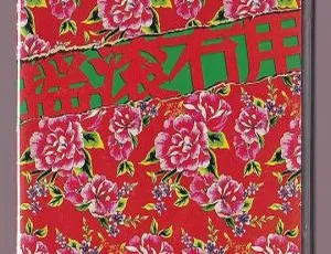 二手玫瑰2013摇滚无用北京工体演唱会DVD现场完整版