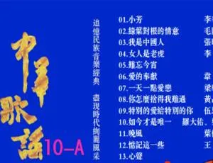 群星经典老歌精选 中华歌谣10 高清KTV DVD双碟合集