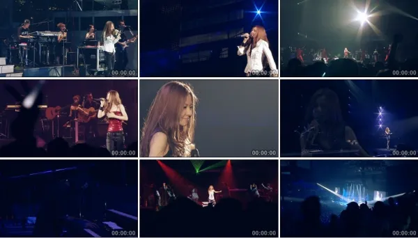 仓木麻衣十周年演唱会DVD